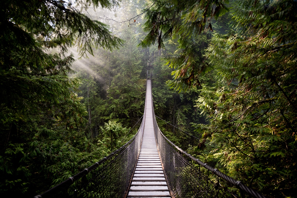 Suspension Bridge in North Vancouver Canada